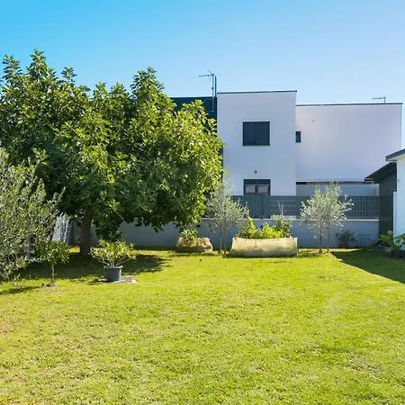 Radic - A1 First Floor - Mpolo Daire *
